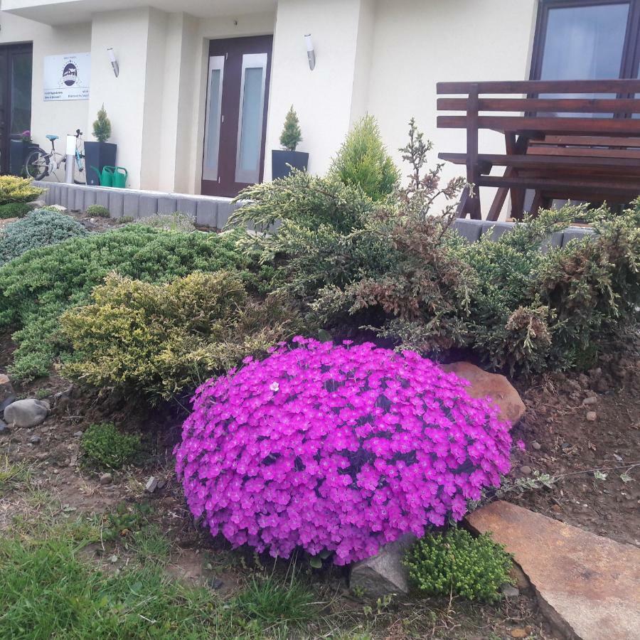 Apartamenty Przy Trakcie Cesarskim Wegierska Gorka Exterior foto